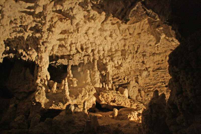 Nieuw-Zeeland 2011 - 0556